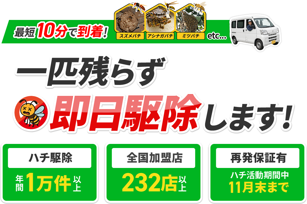 メインテキスト・吹き出し