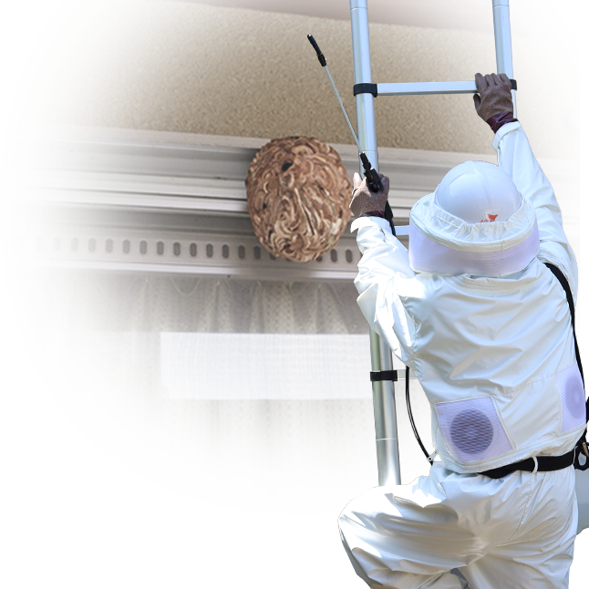 はしごの作業員