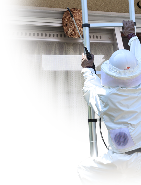 はしごの作業員